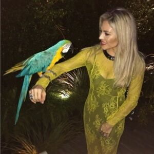 Diane Von Furstenberg Delicate  Yellow Lace Gown w/ Beaded Collar, Long Sleeves